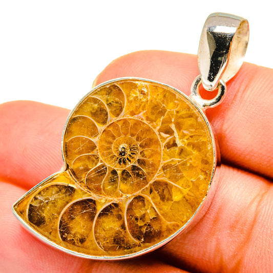 Ammonite Fossil Pendants handcrafted by Ana Silver Co - PD9249