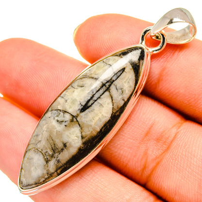Orthoceras Fossil Pendants handcrafted by Ana Silver Co - PD9299