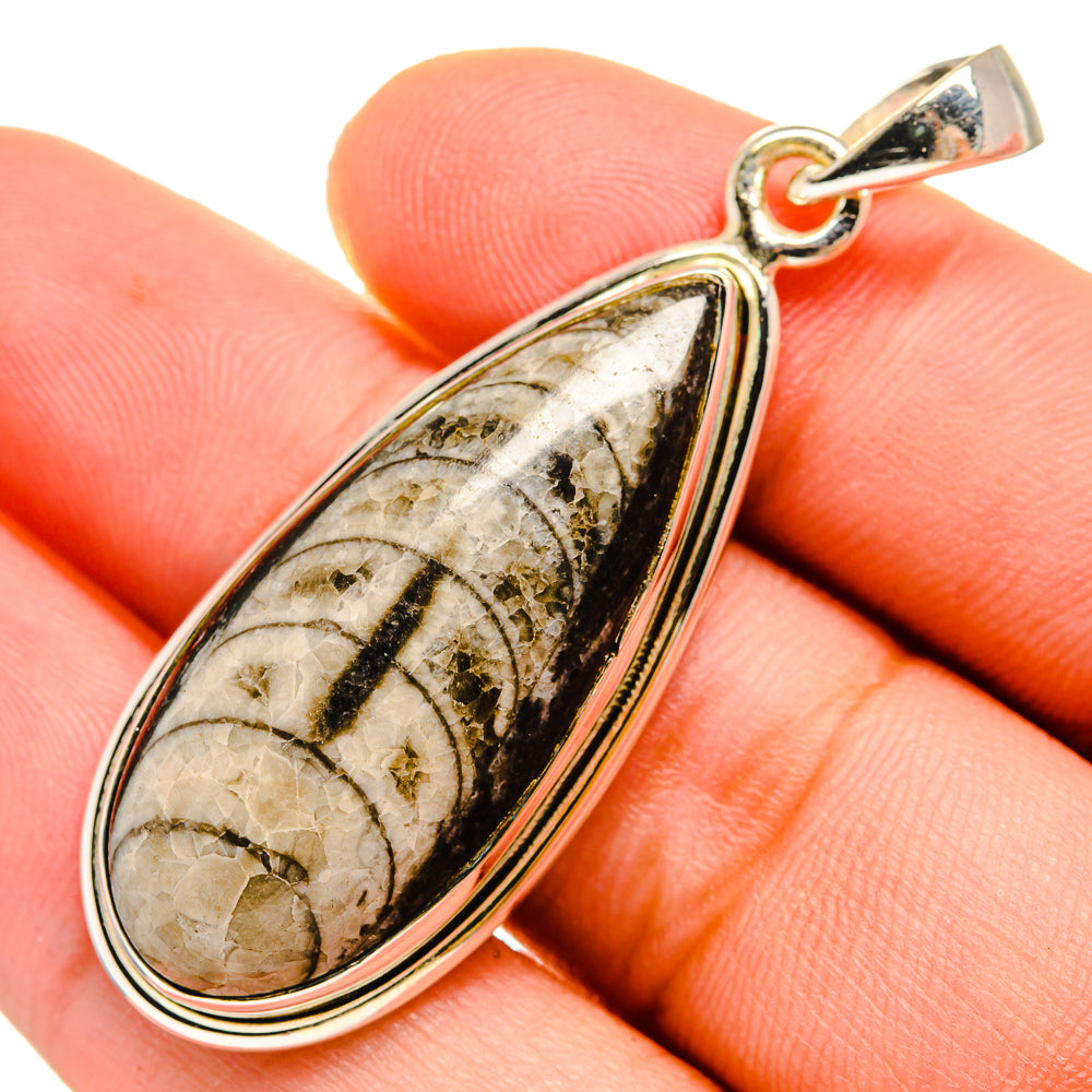 Orthoceras Fossil Pendants handcrafted by Ana Silver Co - PD9576