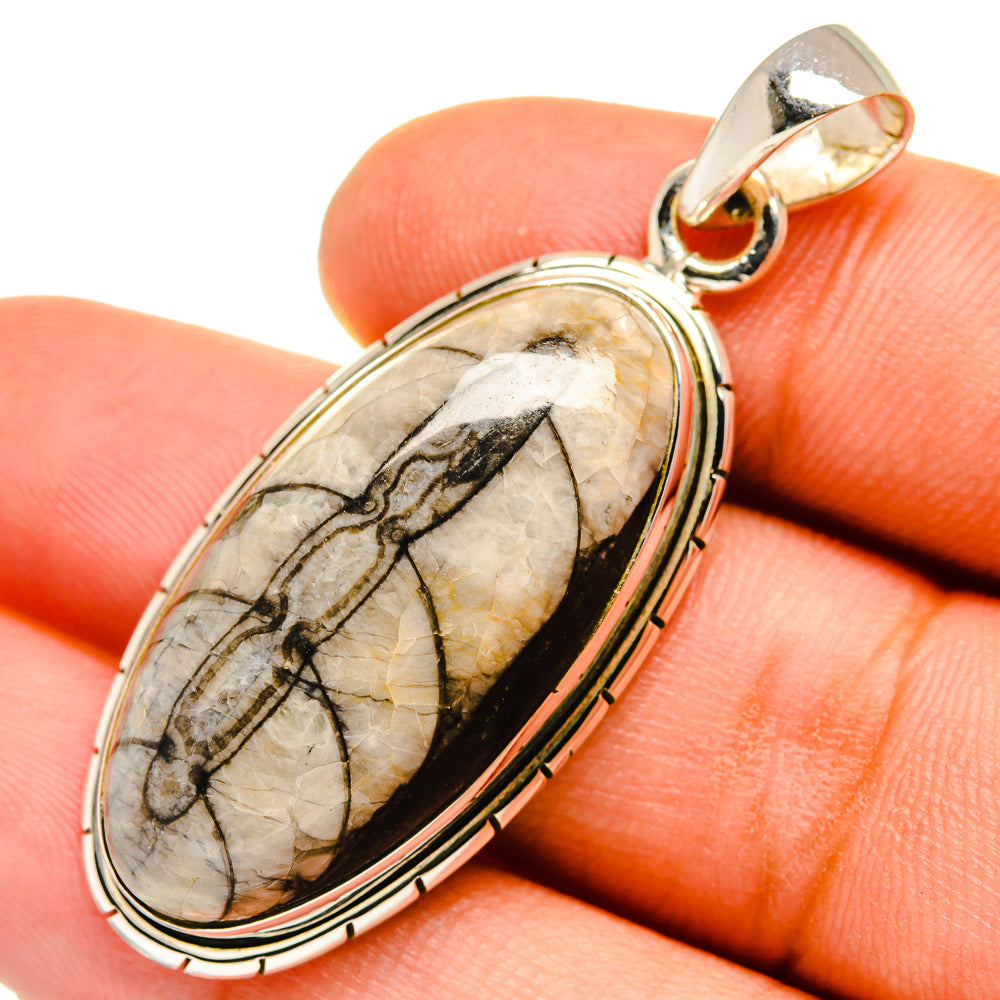 Orthoceras Fossil Pendants handcrafted by Ana Silver Co - PD9642