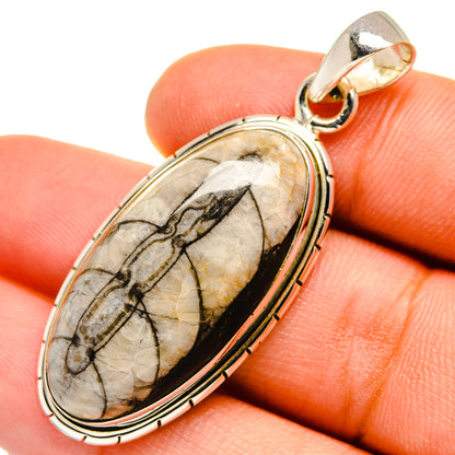 Orthoceras Fossil Pendants handcrafted by Ana Silver Co - PD9642