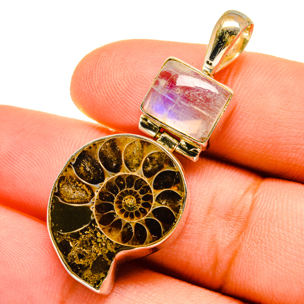Ammonite Fossil Pendants handcrafted by Ana Silver Co - PD9754
