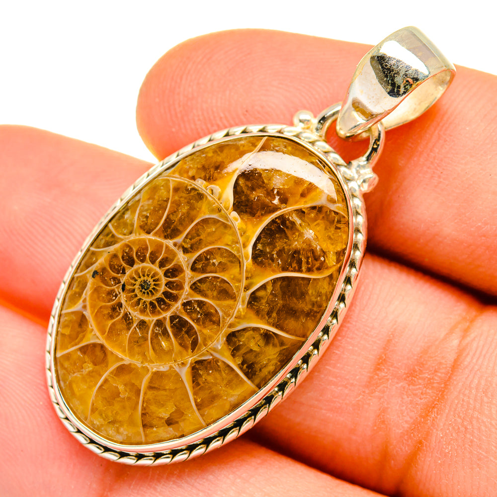 Ammonite Fossil Pendants handcrafted by Ana Silver Co - PD9806