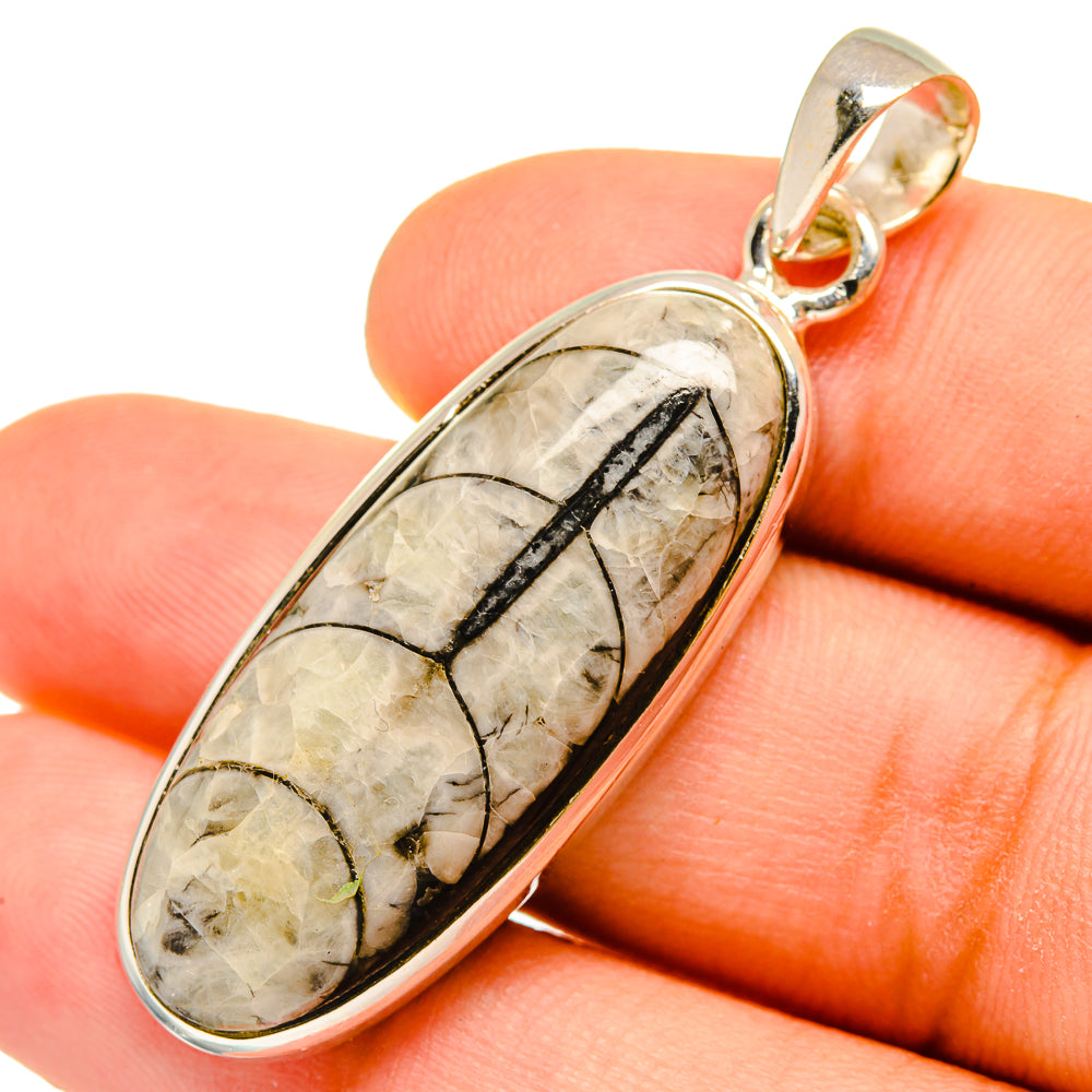 Orthoceras Fossil Pendants handcrafted by Ana Silver Co - PD9826