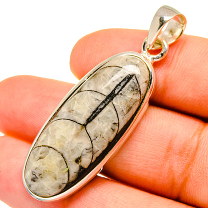 Orthoceras Fossil Pendants handcrafted by Ana Silver Co - PD9826