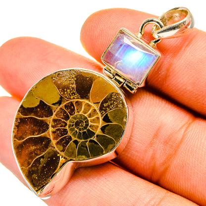 Ammonite Fossil Pendants handcrafted by Ana Silver Co - PD9926