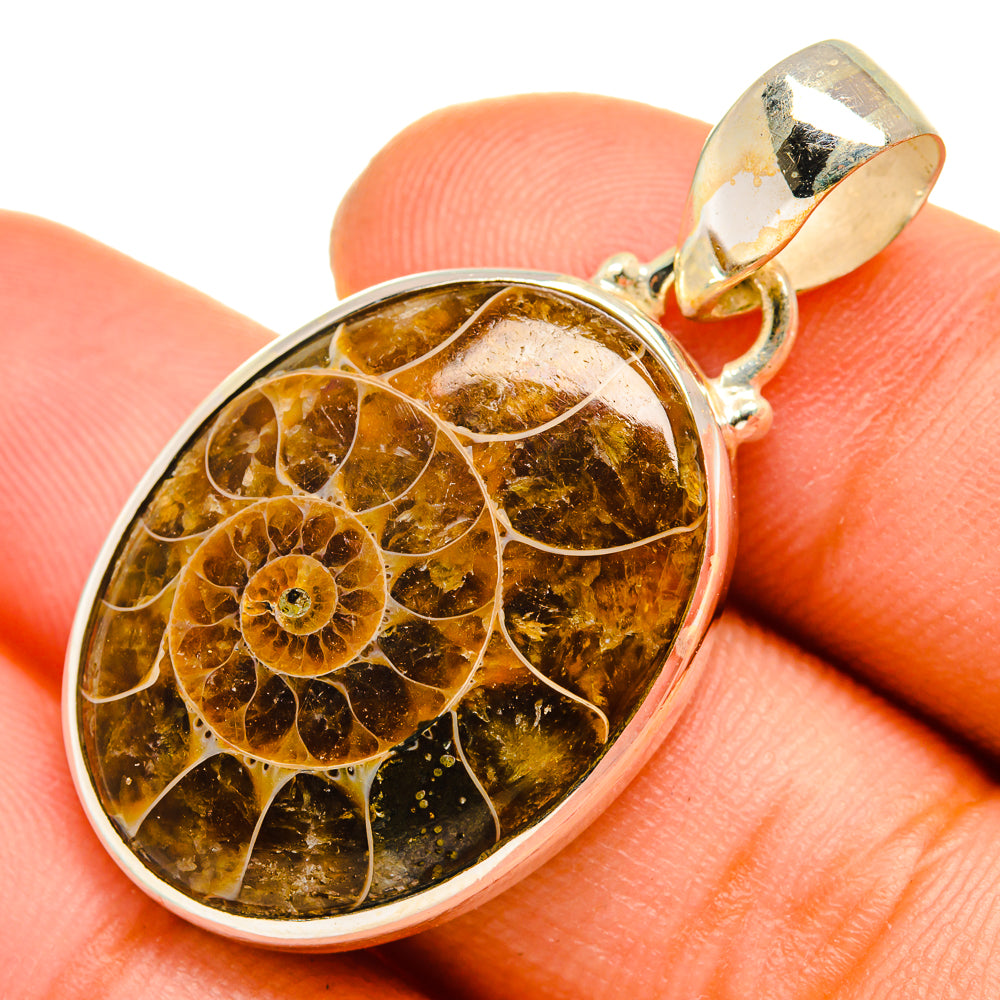 Ammonite fossil pendant in 925 sterling silver with amber-brown fossil in round bezel