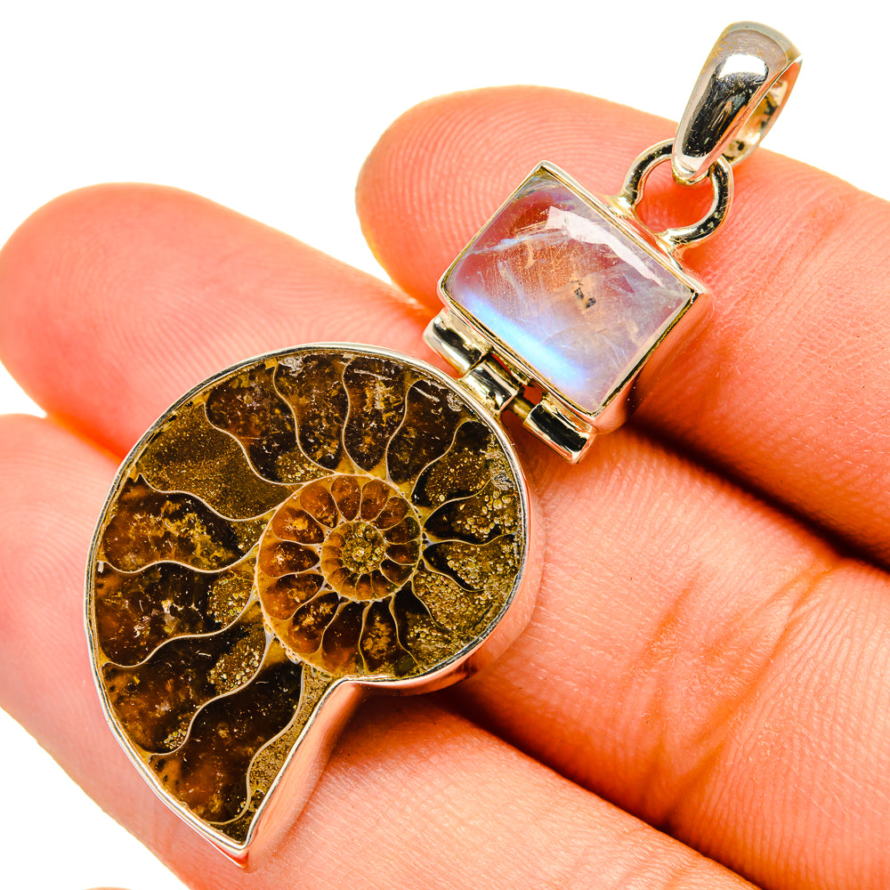 Ammonite Fossil Pendants handcrafted by Ana Silver Co - PD9997