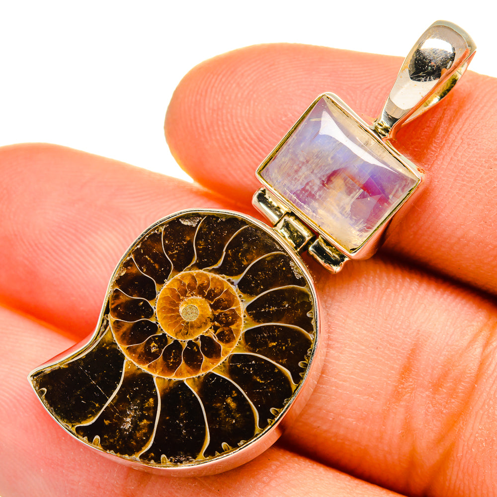 Ammonite Fossil Pendants handcrafted by Ana Silver Co - PD9998