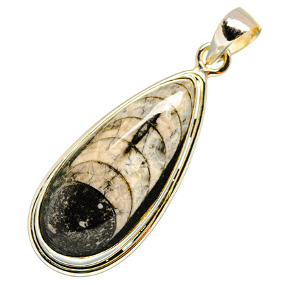 Orthoceras Fossil Pendants handcrafted by Ana Silver Co - PD10043