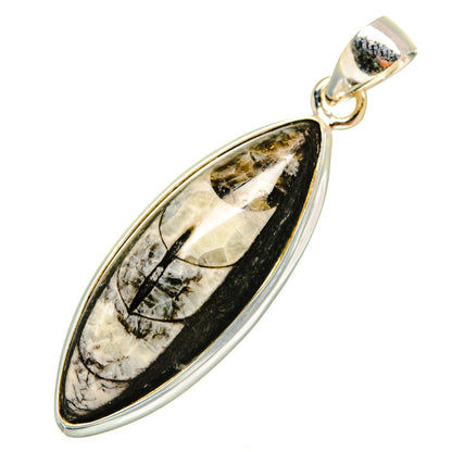 Orthoceras Fossil Pendants handcrafted by Ana Silver Co - PD10044