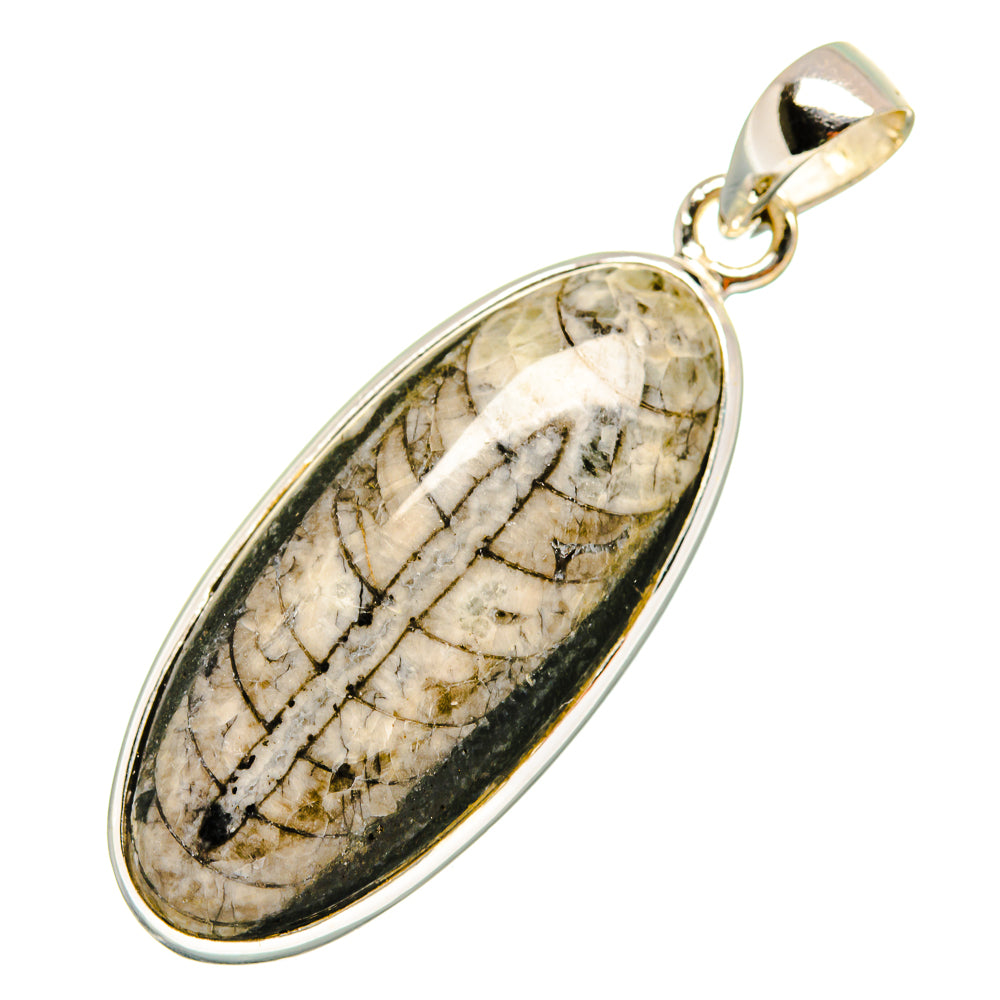 Orthoceras Fossil Pendants handcrafted by Ana Silver Co - PD10045
