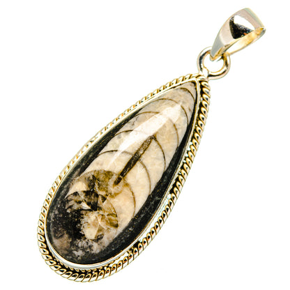 Orthoceras Fossil Pendants handcrafted by Ana Silver Co - PD10046