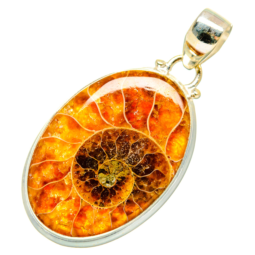 Ammonite Fossil Pendants handcrafted by Ana Silver Co - PD10213