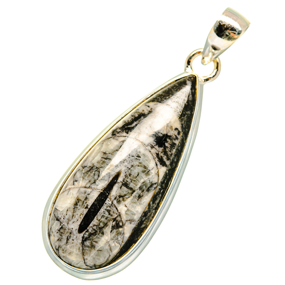 Orthoceras Fossil Pendants handcrafted by Ana Silver Co - PD10225