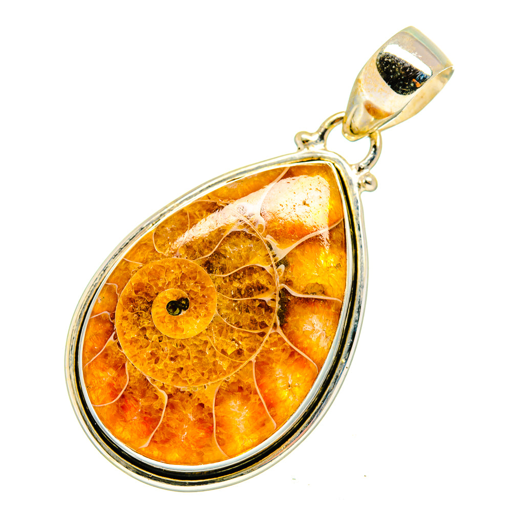 Ammonite Fossil Pendants handcrafted by Ana Silver Co - PD10250
