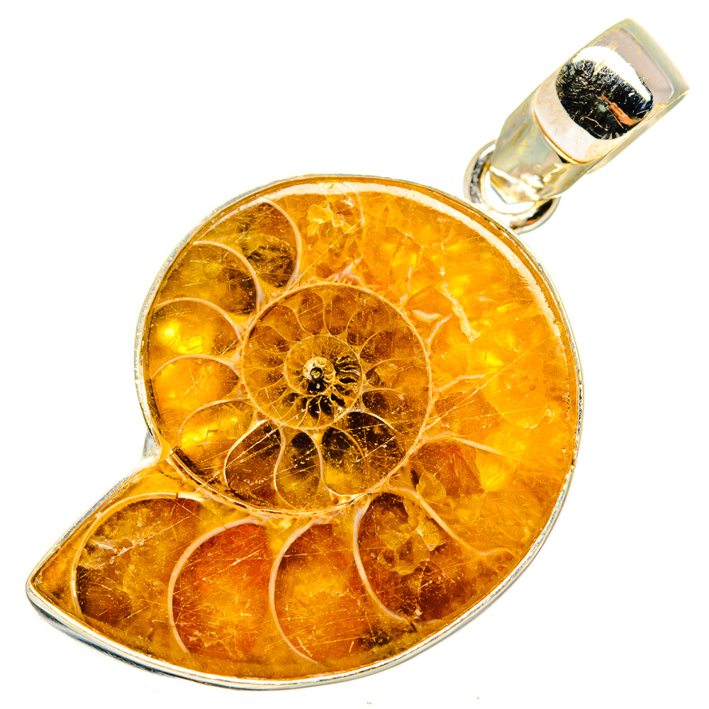 Ammonite Fossil Pendants handcrafted by Ana Silver Co - PD10293