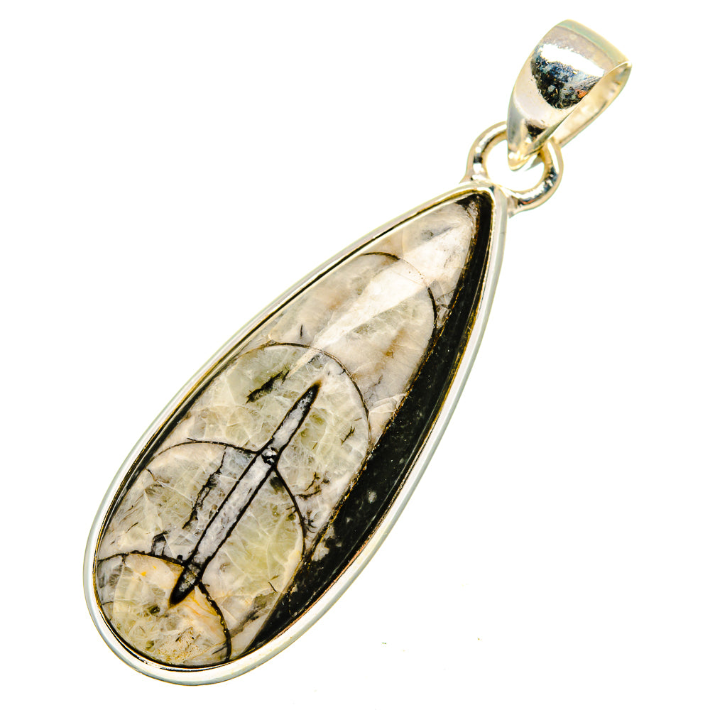Orthoceras Fossil Pendants handcrafted by Ana Silver Co - PD10295