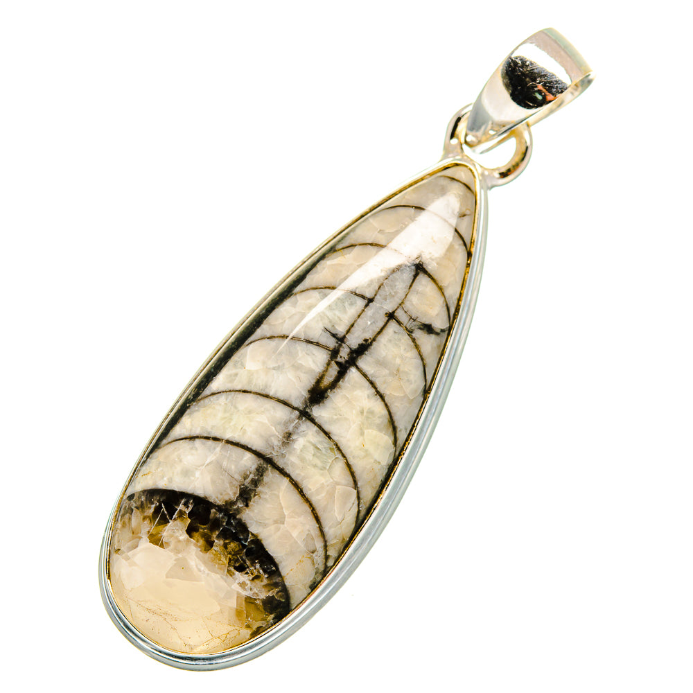 Orthoceras Fossil Pendants handcrafted by Ana Silver Co - PD10338