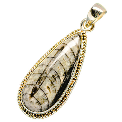 Orthoceras Fossil Pendants handcrafted by Ana Silver Co - PD10339