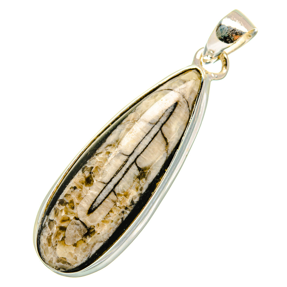 Orthoceras Fossil Pendants handcrafted by Ana Silver Co - PD10405