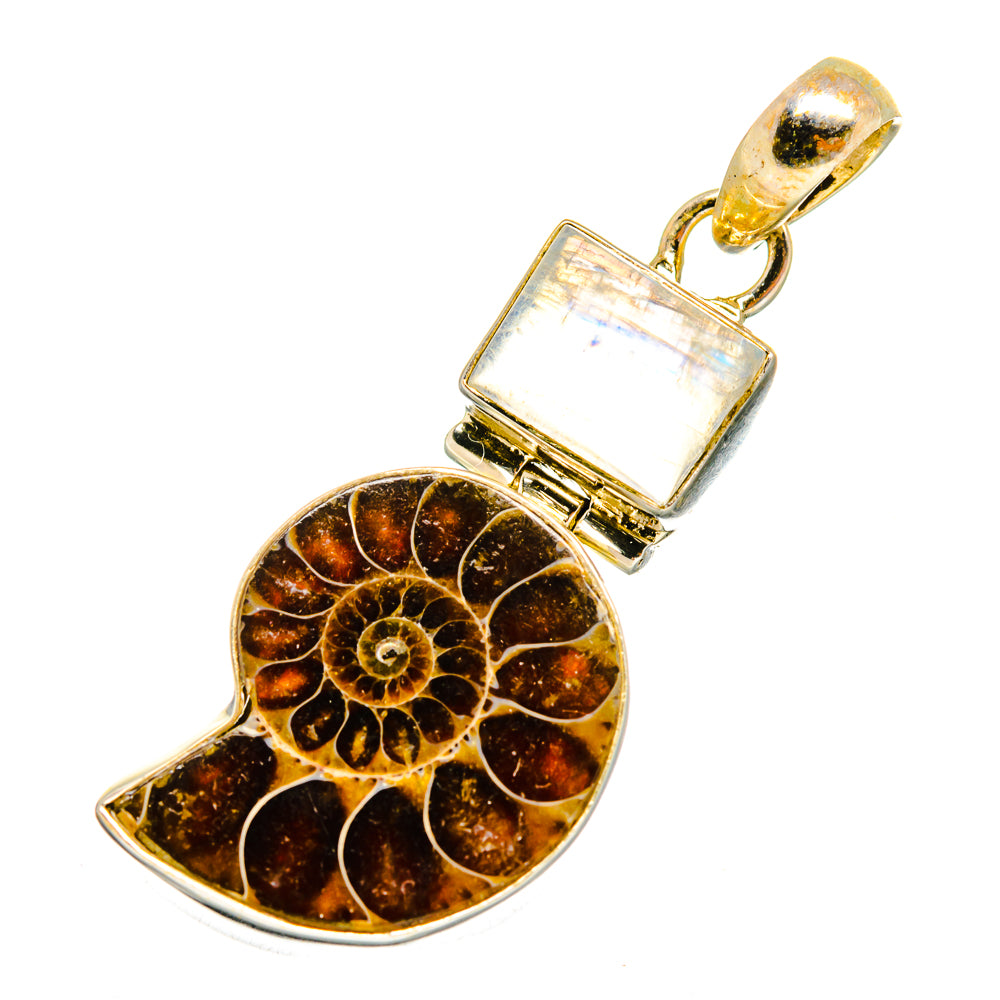 Ammonite Fossil Pendants handcrafted by Ana Silver Co - PD10656