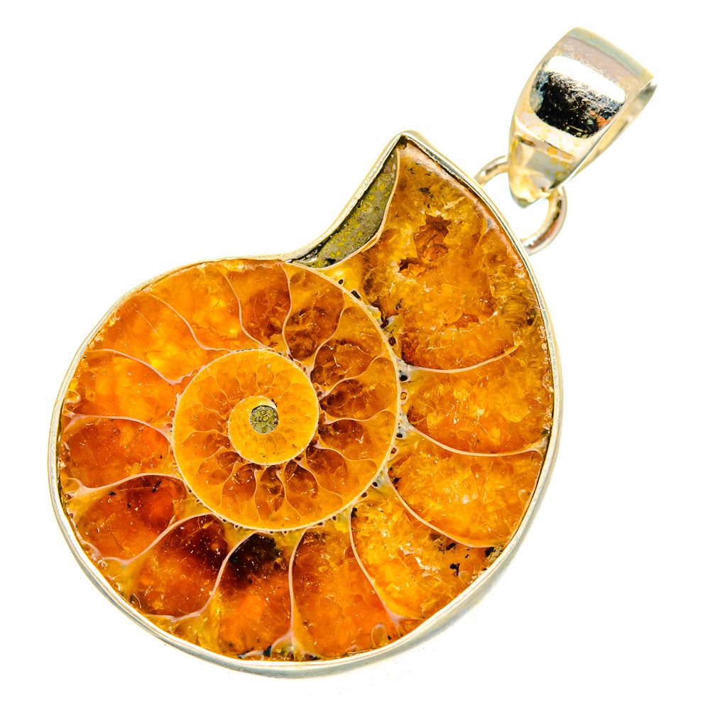 Ammonite Fossil Pendants handcrafted by Ana Silver Co - PD10709