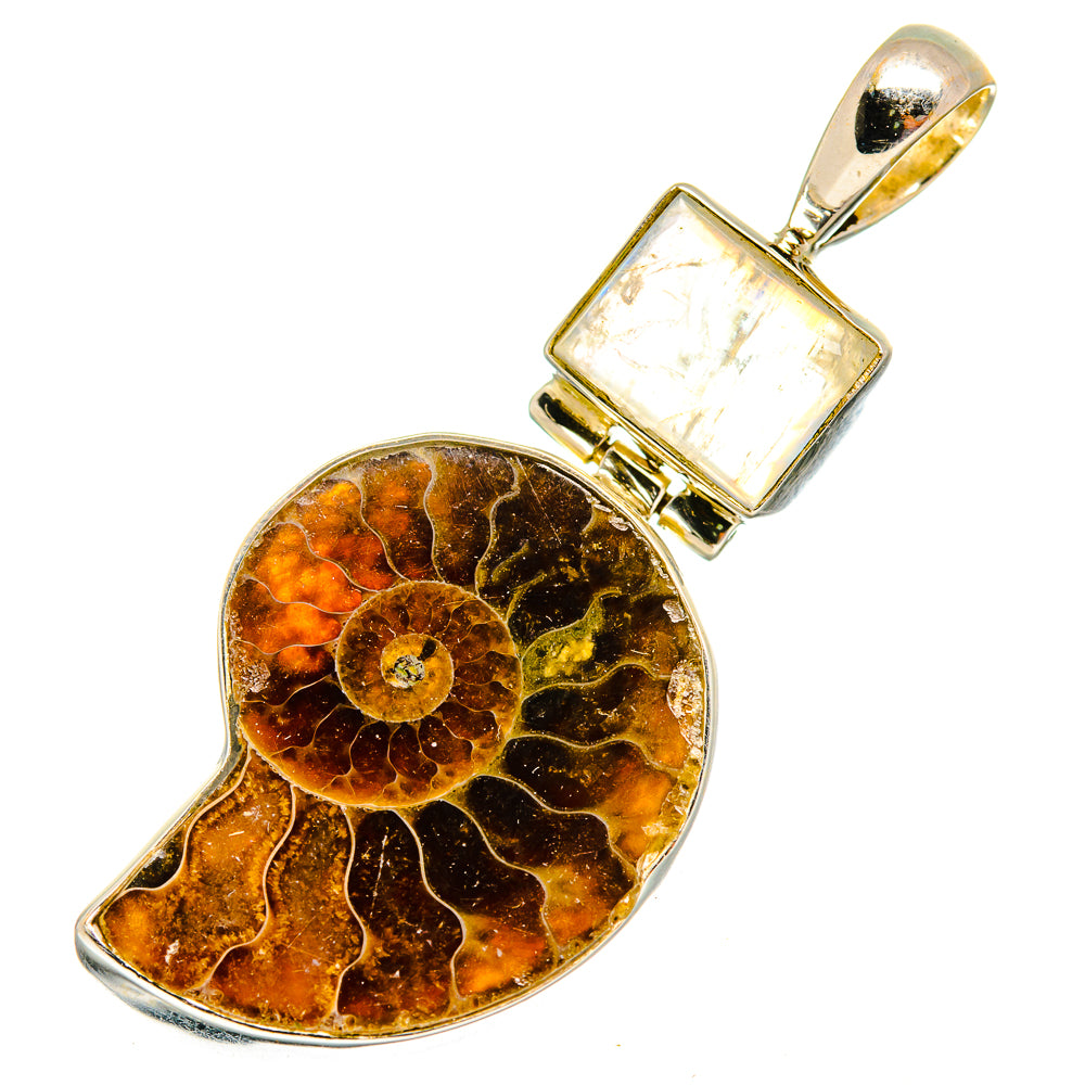 Ammonite Fossil Pendants handcrafted by Ana Silver Co - PD10712