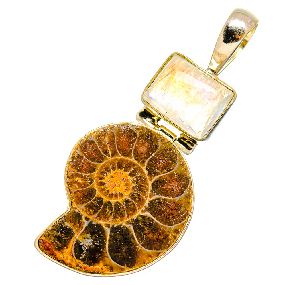 Ammonite Fossil Pendants handcrafted by Ana Silver Co - PD10751