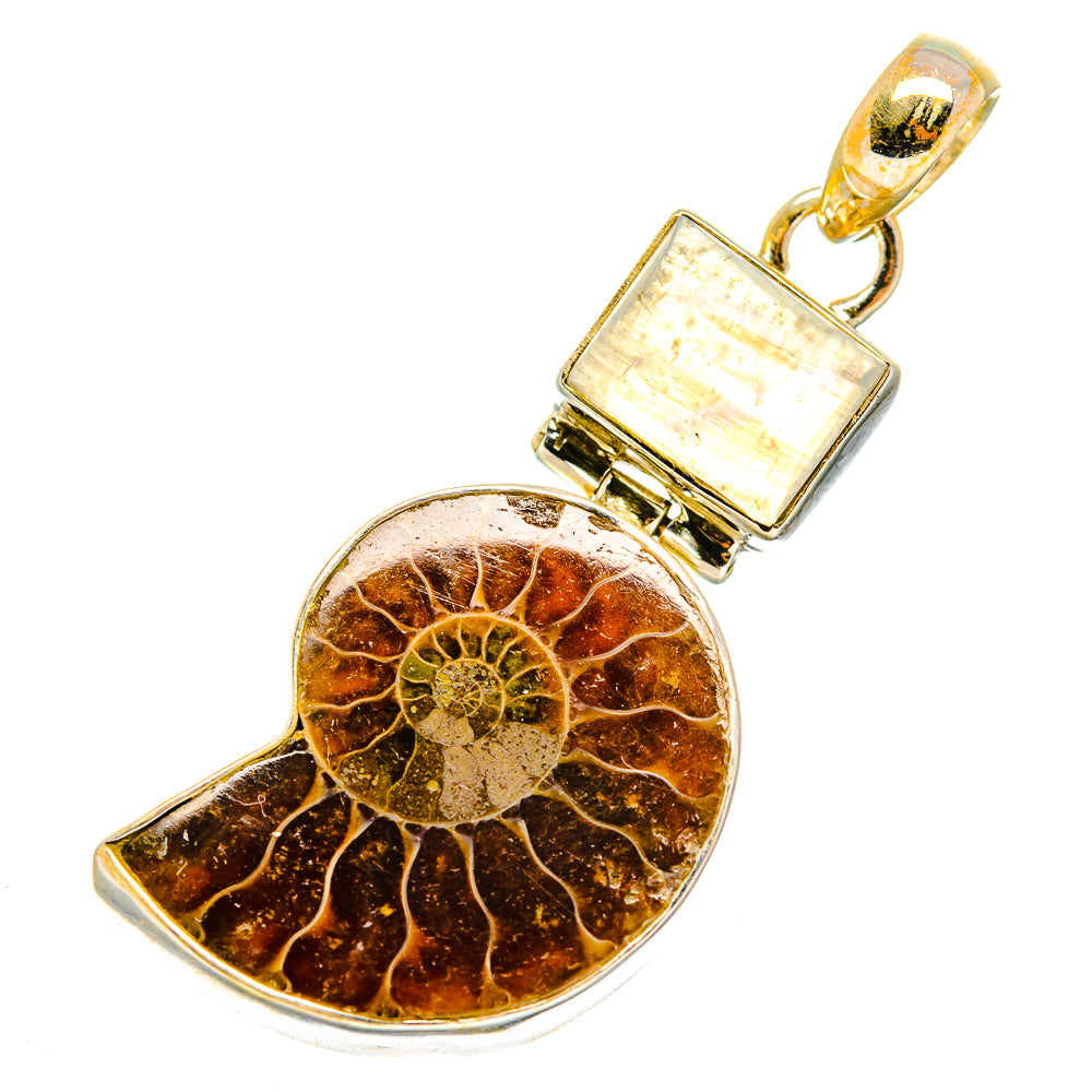 Ammonite Fossil Pendants handcrafted by Ana Silver Co - PD10793
