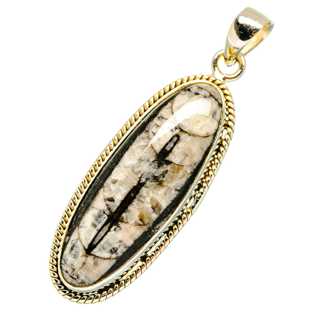 Orthoceras Fossil Pendants handcrafted by Ana Silver Co - PD10803