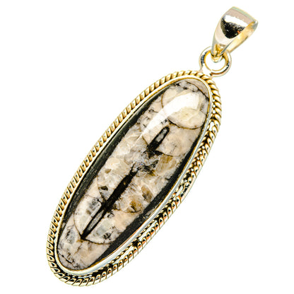 Orthoceras Fossil Pendants handcrafted by Ana Silver Co - PD10803
