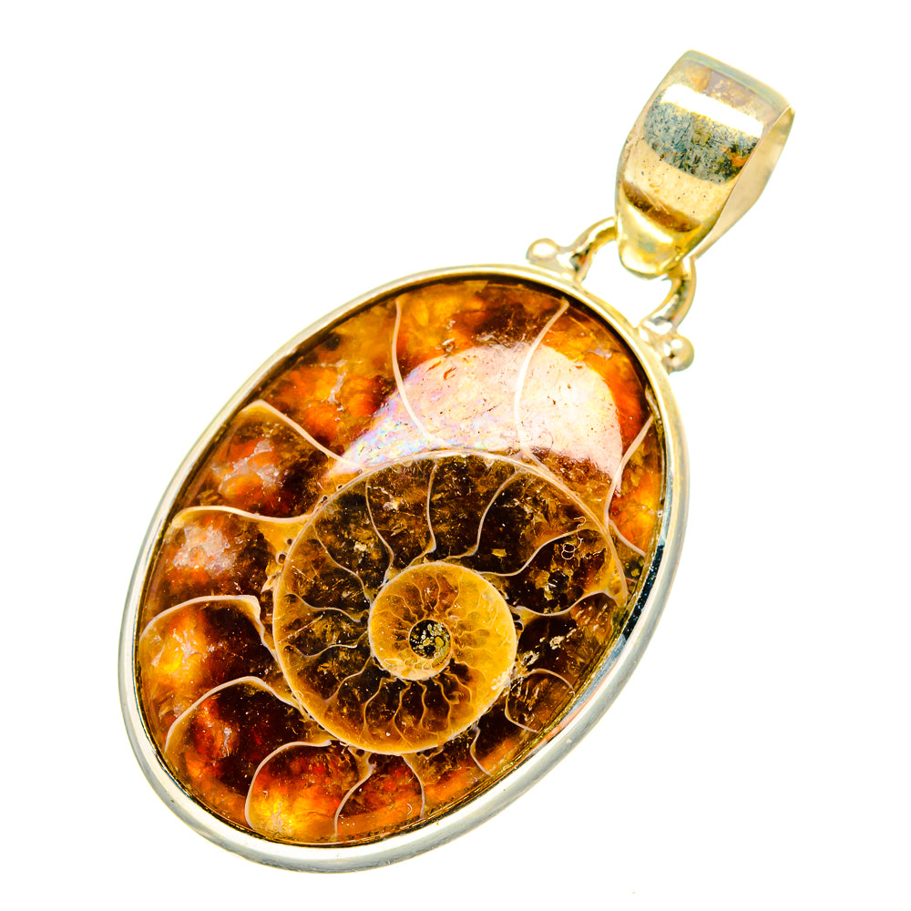Ammonite fossil pendant, oval amber stone in 925 sterling silver setting and bail