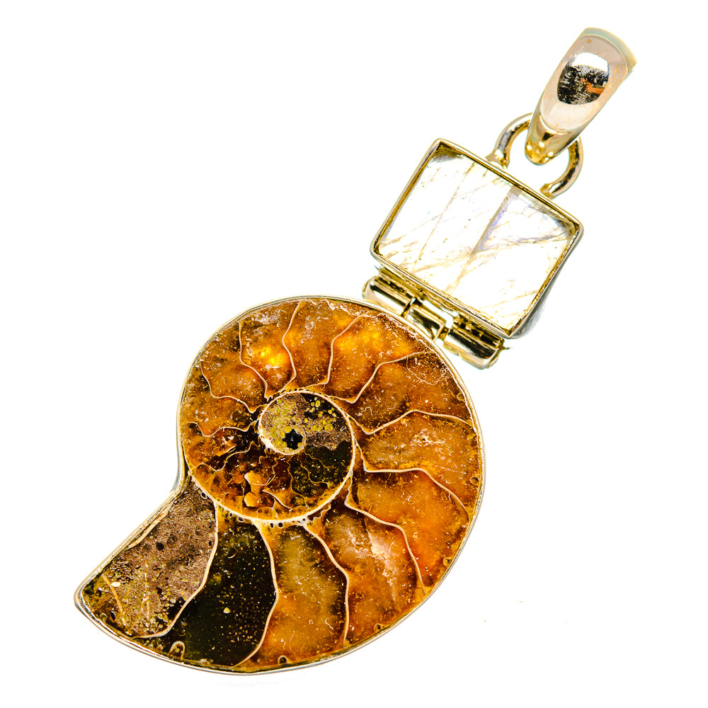 Ammonite Fossil Pendants handcrafted by Ana Silver Co - PD10886