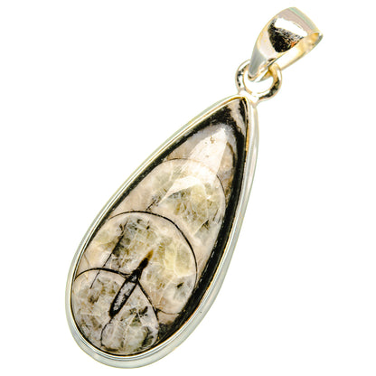 Orthoceras Fossil Pendants handcrafted by Ana Silver Co - PD10895