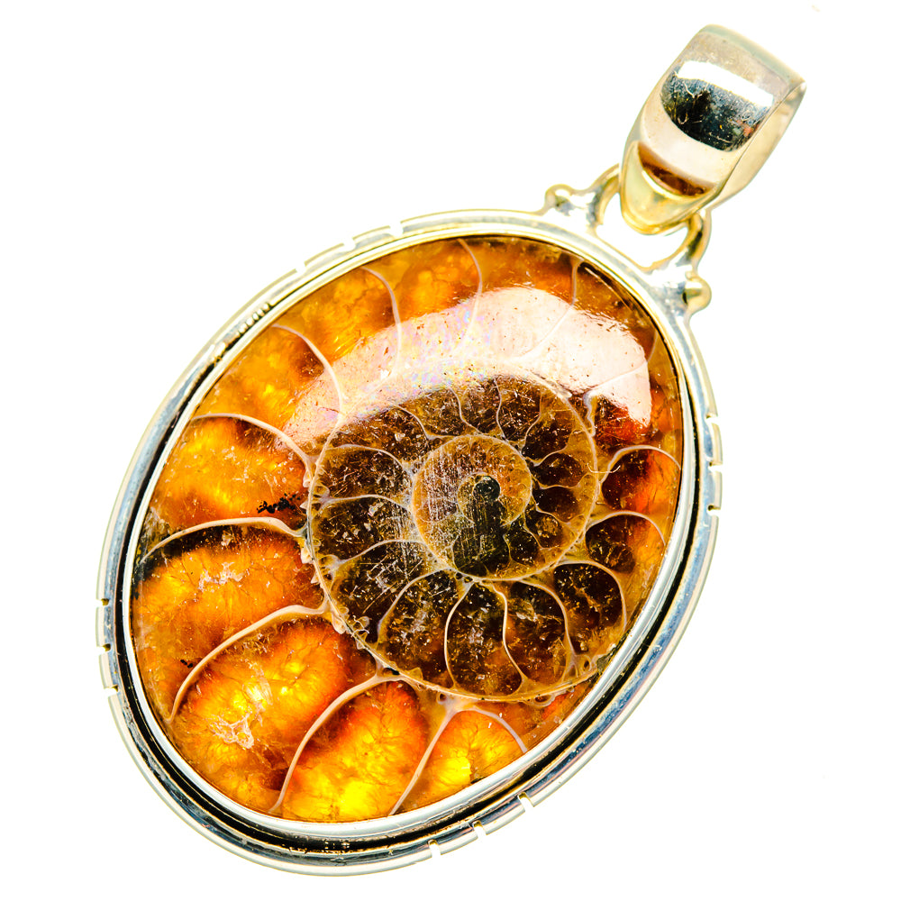 Ammonite Fossil Pendants handcrafted by Ana Silver Co - PD10943