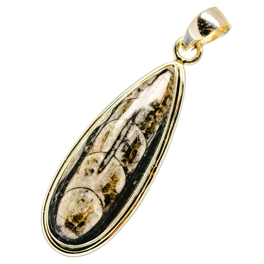 Orthoceras Fossil Pendants handcrafted by Ana Silver Co - PD11061