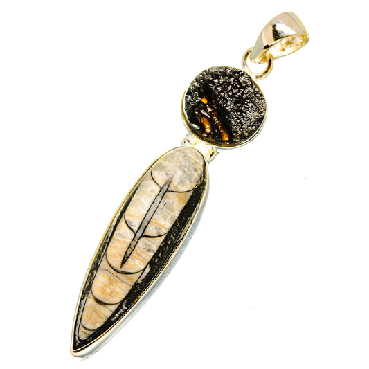 Orthoceras Fossil Pendants handcrafted by Ana Silver Co - PD11084