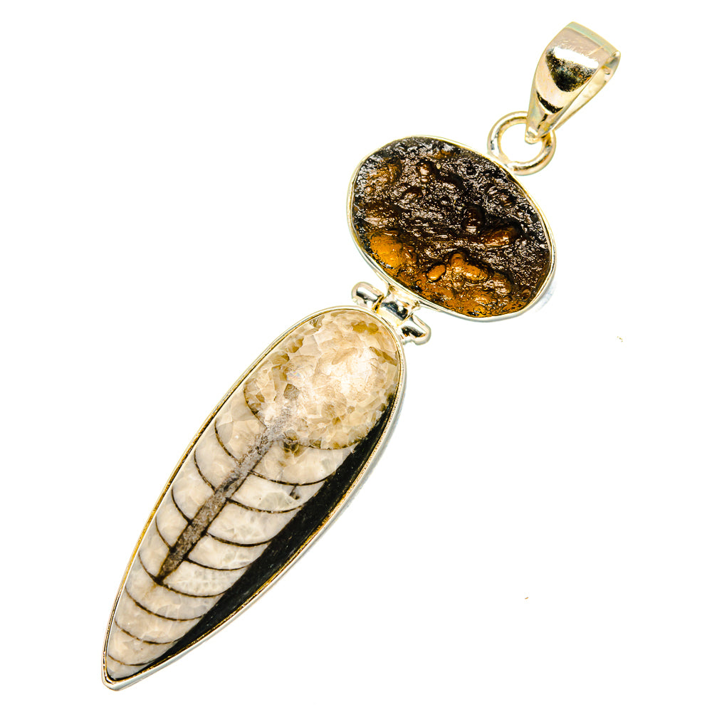 Orthoceras Fossil Pendants handcrafted by Ana Silver Co - PD11086