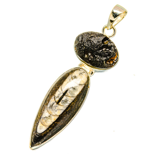 Orthoceras Fossil Pendants handcrafted by Ana Silver Co - PD11087