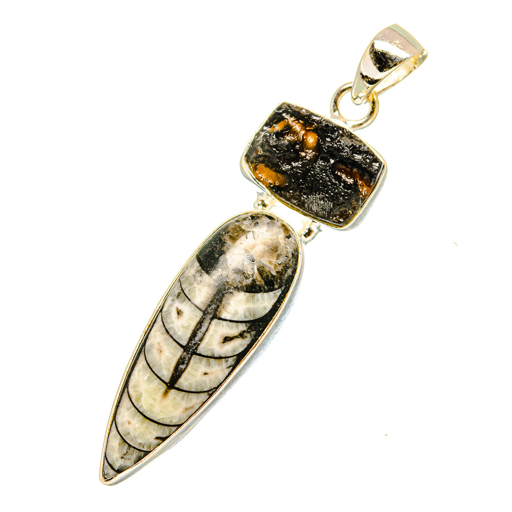 Orthoceras Fossil Pendants handcrafted by Ana Silver Co - PD11089