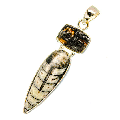 Orthoceras Fossil Pendants handcrafted by Ana Silver Co - PD11089