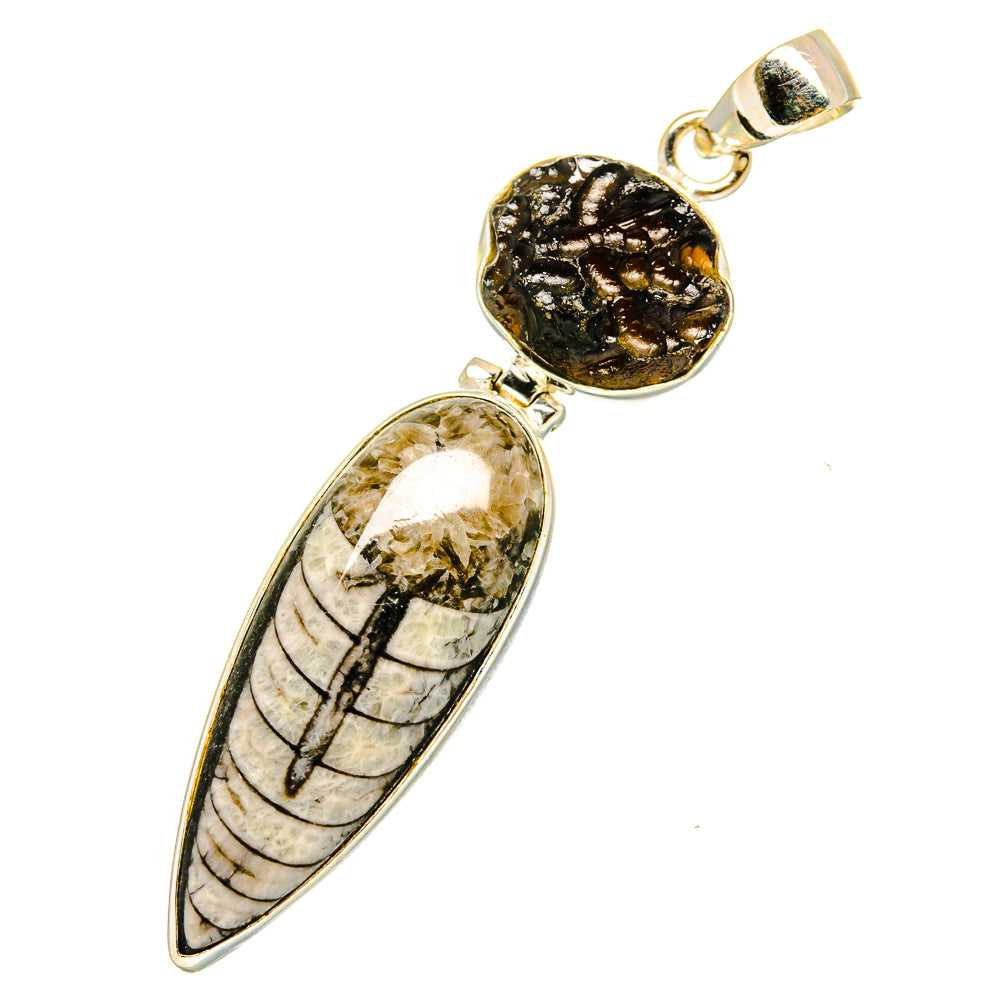 Orthoceras Fossil Pendants handcrafted by Ana Silver Co - PD11090
