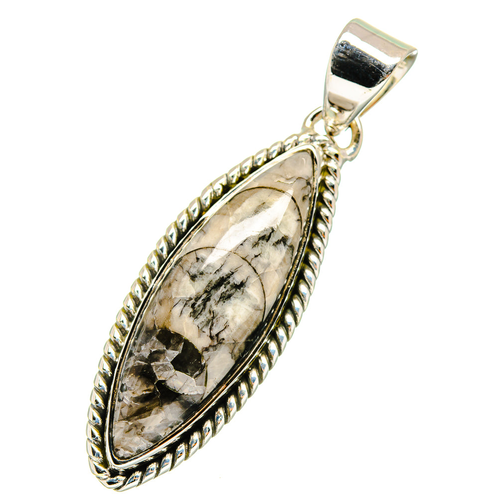 Orthoceras Fossil Pendants handcrafted by Ana Silver Co - PD11275