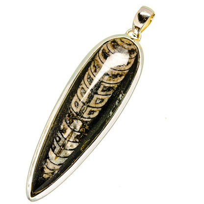 Orthoceras Fossil Pendants handcrafted by Ana Silver Co - PD11458
