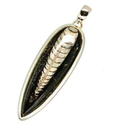 Orthoceras Fossil Pendants handcrafted by Ana Silver Co - PD11459