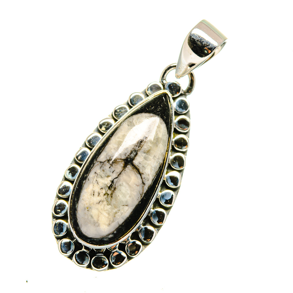 Orthoceras Fossil Pendants handcrafted by Ana Silver Co - PD12485