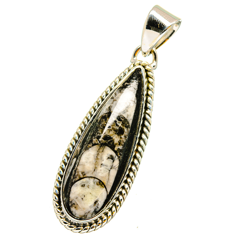 Teardrop fossil pendant in silver with marbled cabochon stone, rope-edged frame and bail