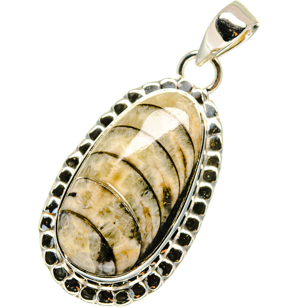 Orthoceras Fossil Pendants handcrafted by Ana Silver Co - PD13334