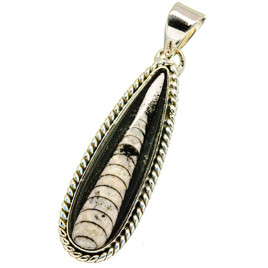 Orthoceras Fossil Pendants handcrafted by Ana Silver Co - PD13353